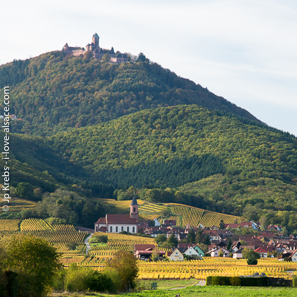 Le chteau du Haut Koenigsbourg domine les vignobles et villages de la route du Vin d'Alsace