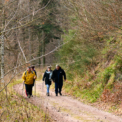 Auf dem Wanderweg zum Schloss Frankenburg in den Bergen ber unser Dorf La Vancelle.