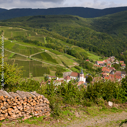 Le vignoble de montagne du village d'Alb dans le Val de Vill. Juste de l'autre ct du massif de La Vancelle