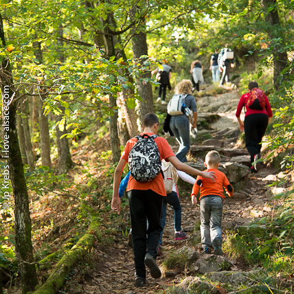 Wandern fr Alle: Bei uns im Elsass findet jeder ein Schwierigkeitsniveau nach seinem eigenen Geschmack.