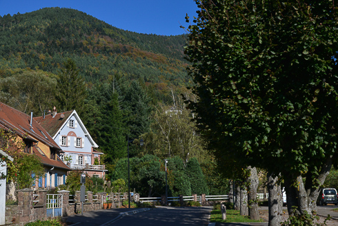 Le village de La Vancelle bnficie d'une situation privilgie sur le flanc sud de montagne. Au cur d'une fort magnifique, un site exceptionnel  quelques minutes seulement de la route du vin d'Alsace.