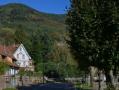 Le village de La Vancelle bnficie d'une situation privilgie sur le flanc sud de montagne. Au cur d'une fort magnifique, un site exceptionnel  quelques minutes seulement de la route du vin d'Alsace.